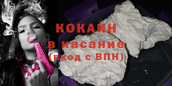 крисы Баксан