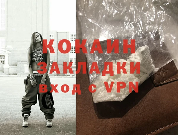 крисы Баксан