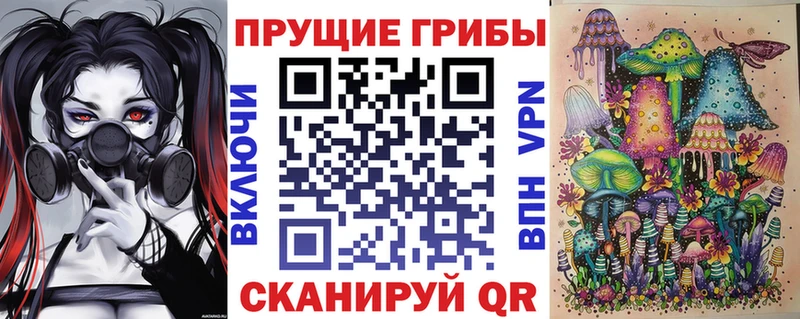 Галлюциногенные грибы Psilocybe Нея