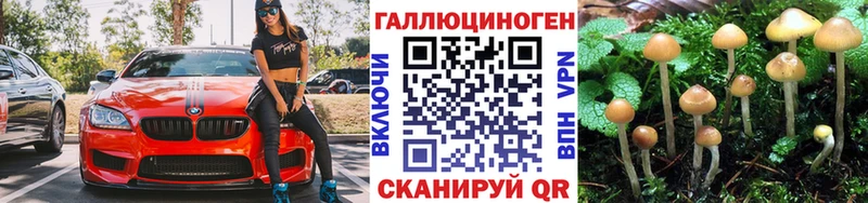 Галлюциногенные грибы мицелий  Нея 