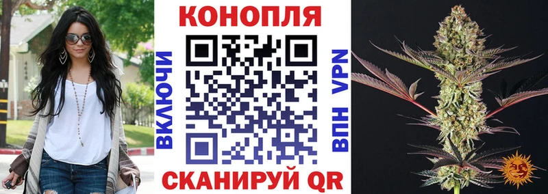 Бошки марихуана план  как найти   Нея 